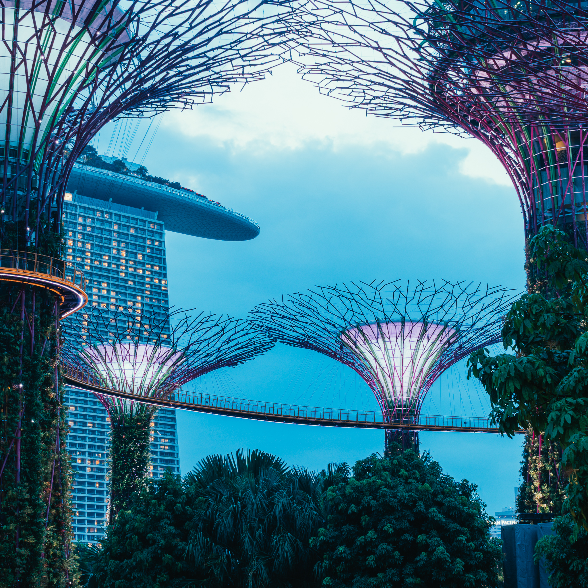 Top 7 Places to Visit in Singapore