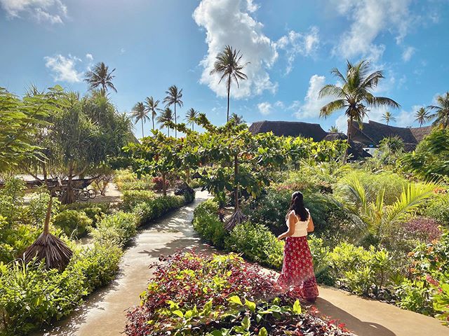 Who said Tanzania is only about going on safaris? Zanzibar is a beautiful island that&rsquo;s a 1-hour flight away from where all safaris start &ndash; so when visiting Tanzania, make sure to swing by Zanzibar!